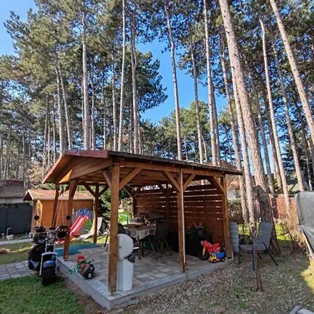 Alex Apartamento Siófok